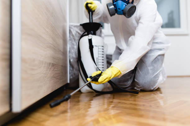 Best Wildlife Control Services  in Fussels Corner, FL