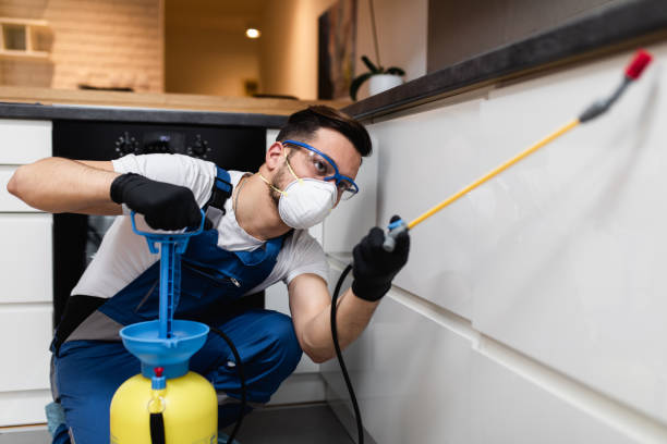 Pest Control for Restaurants in Fussels Corner, FL