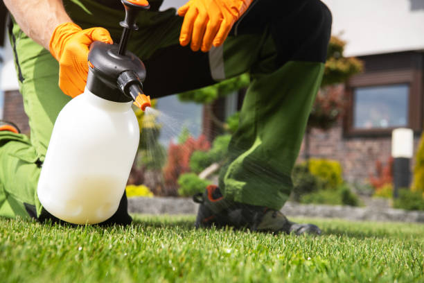 Best Best Pest Control Companies  in Fussels Corner, FL