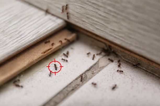 Fussels Corner, FL Pest Control Company