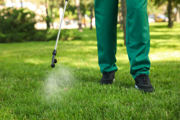 Reliable Fussels Corner, FL Pest Control Solutions