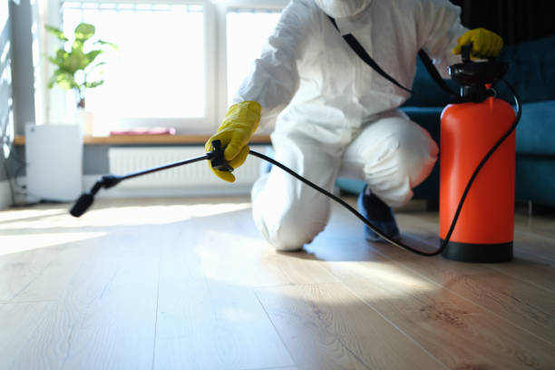 Best Termite Control Services  in Fussels Corner, FL