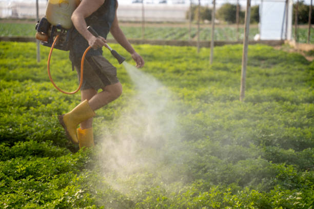 Best Pest Removal Services  in Fussels Corner, FL