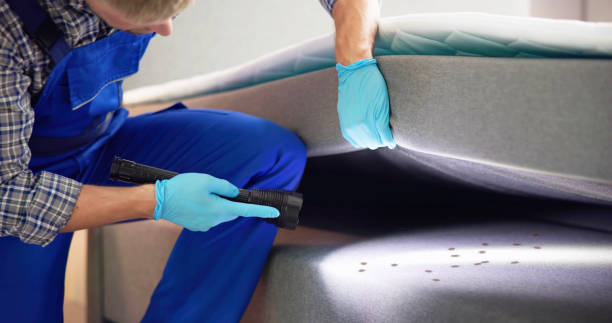 Best Affordable Pest Control Services  in Fussels Corner, FL