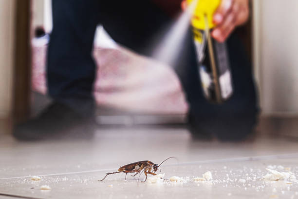 Best Ant Control Services  in Fussels Corner, FL