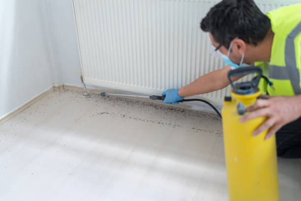 Best Mosquito Control Services  in Fussels Corner, FL